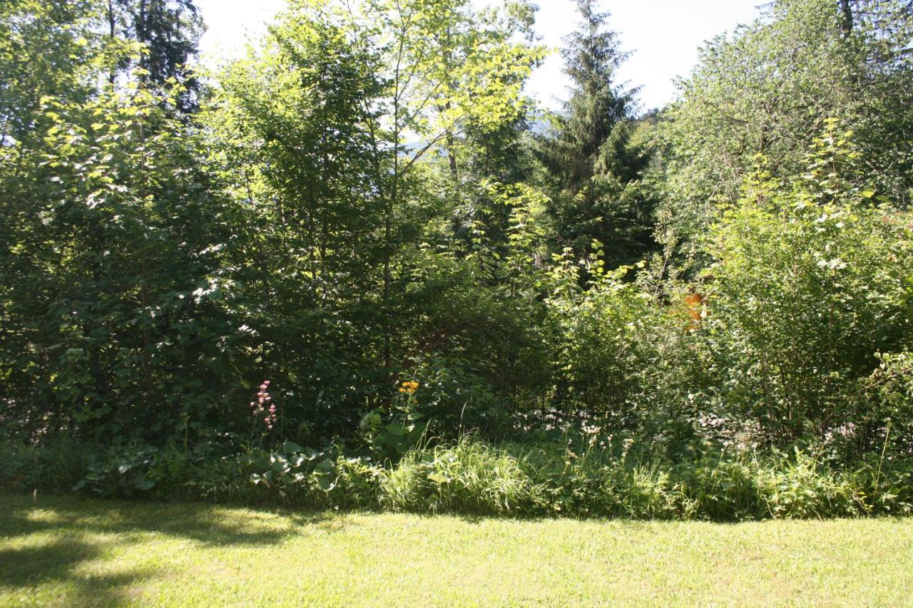 Ferienwohnung Grünau Feriendomizil Grünau im Almtal Exterior foto